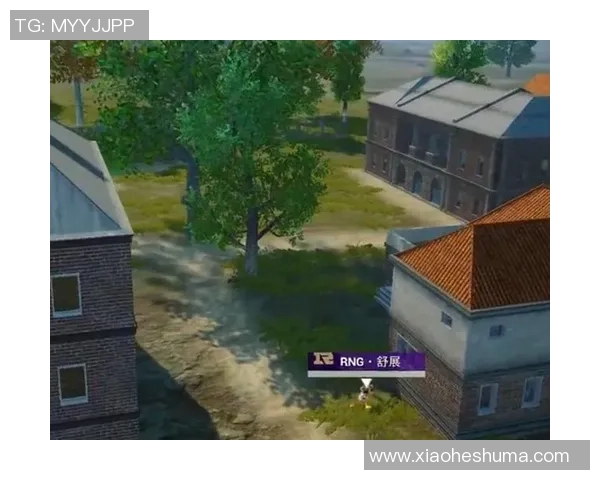 和平精英战术分析：RNG中路突破策略及其影响探讨